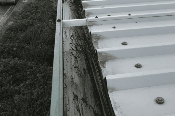 Commercial gutter cleaning specialists in Chertsey